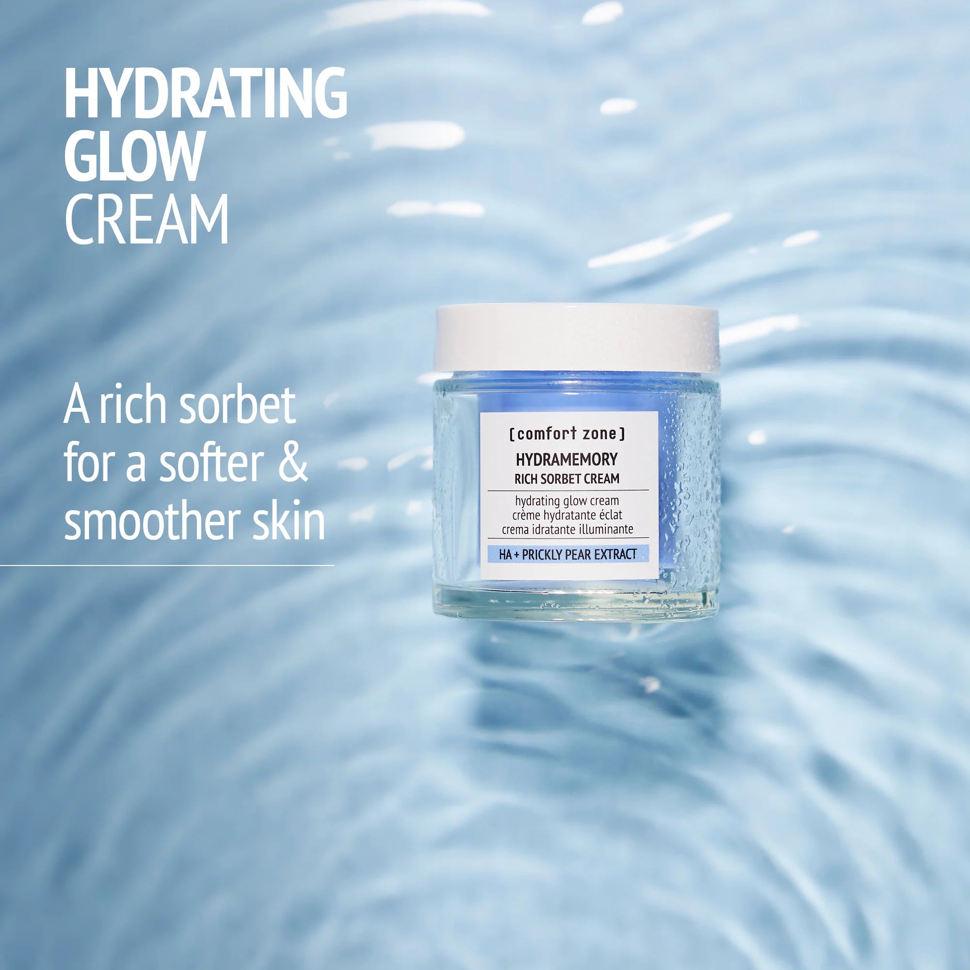 Hydramemory Rich Sorbet Cream